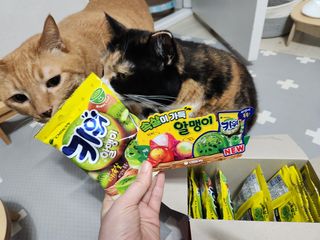 솔탄이love님이 올린 리뷰 사진 1