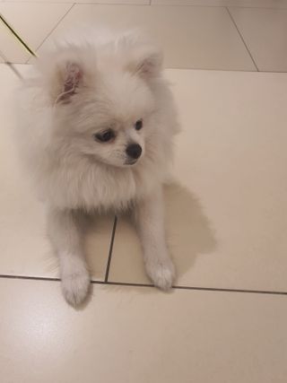 별톱님이 올린 리뷰 사진 1