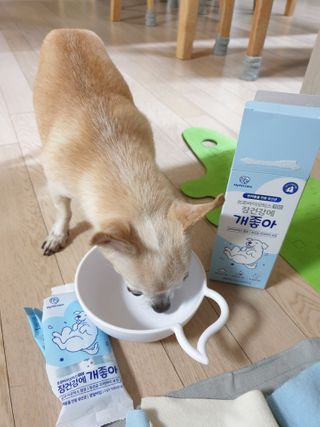 My Pet Care 장건강에 개좋아 — 5점을 준 리뷰어가 2021년 2월 올린 사용 사진