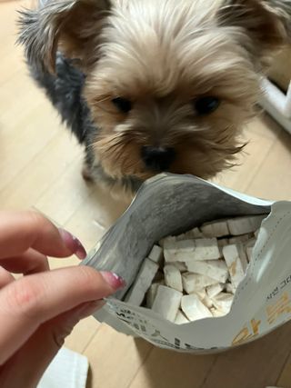 [펫시밀] 원물그대로 영양듬뿍 동결건조 왕북어트릿300g,왕치킨트릿400g,열빙어트릿300g 대용량 간식 — 5점을 준 리뷰어가 2023년 5월 올린 사용 사진