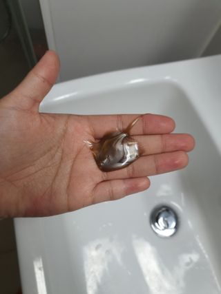 횬지님이 올린 리뷰 사진 2