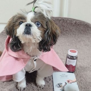 펫21 그로그로 5종 강아지 고양이 반려동물 한방 영양제 — 3.5점을 준 리뷰어가 2021년 12월 올린 사용 사진