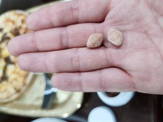 뉴트리미 마이슬림 녹차 카테킨 다이어트 보조제 60정 1달분 — 5점을 준 리뷰어가 2023년 2월 올린 사용 사진