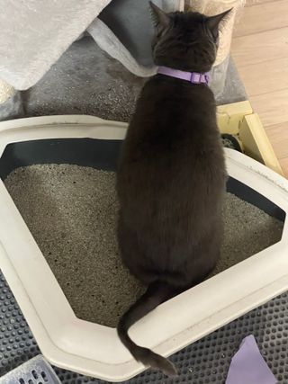 효니님이 올린 리뷰 사진 2