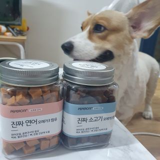 페페로니 진짜 오메가3 연어+소고기 180g+180g — 5점을 준 리뷰어가 2021년 7월 올린 사용 사진