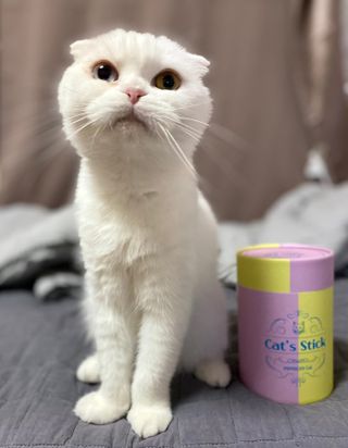 화이집사님이 올린 리뷰 사진 4