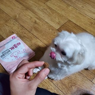My Pet Care 천연단백질 관절건강에 개좋아 — 5점을 준 리뷰어가 2020년 12월 올린 사용 사진