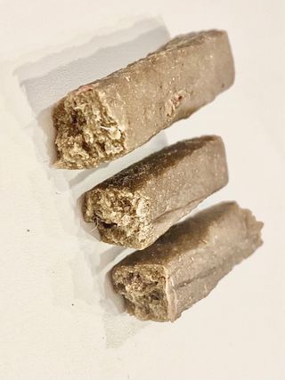 My Pet Care 천연단백질 치아건강에 개좋아 — 5점을 준 리뷰어가 2021년 2월 올린 사용 사진