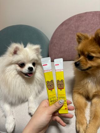 다영님이 올린 리뷰 사진 1