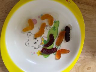 라스맘님이 올린 리뷰 사진 3