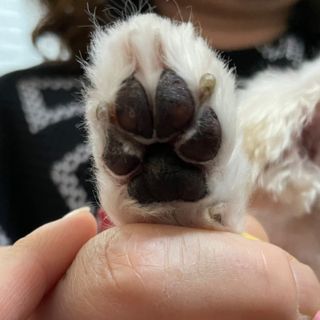 불량주부벗어나기님이 올린 리뷰 사진 3