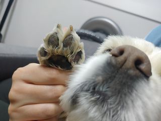 곰둥공주님님이 올린 리뷰 사진 3