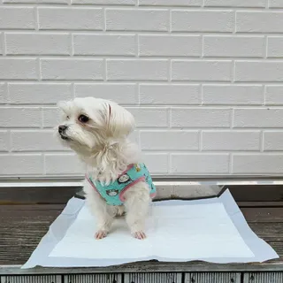 리미님이 올린 리뷰 사진 2