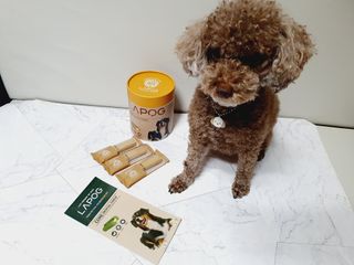 달콤오기님이 올린 리뷰 사진 4