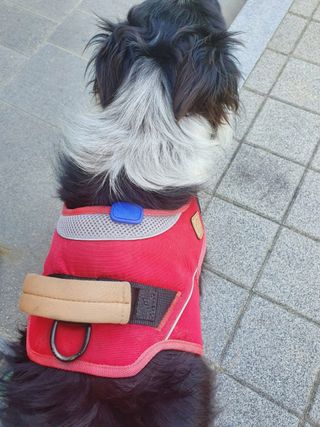belleme님이 올린 리뷰 사진 1
