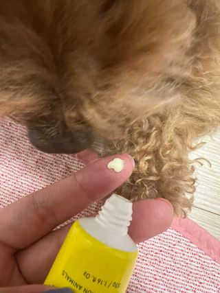 토끼님이 올린 리뷰 사진 4