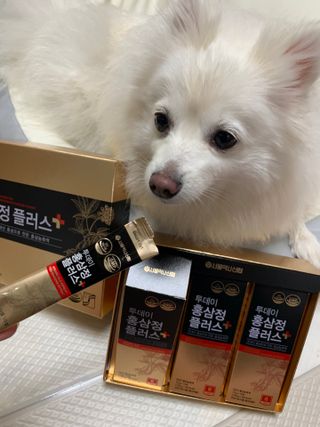 서울약사신협_투데이홍삼정플러스스틱_10g x 30포 — 5점을 준 리뷰어가 2021년 5월 올린 사용 사진