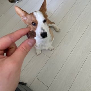 오랑캐님이 올린 리뷰 사진 3