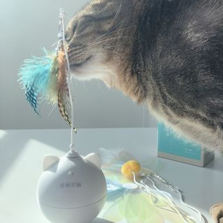 지니지나님이 올린 리뷰 사진 4