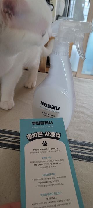 대박이님이 올린 리뷰 사진 3
