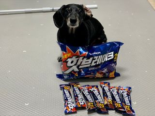 콩이누나님이 올린 리뷰 사진 3