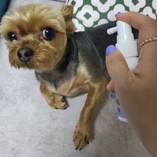 영이님이 올린 리뷰 사진 3