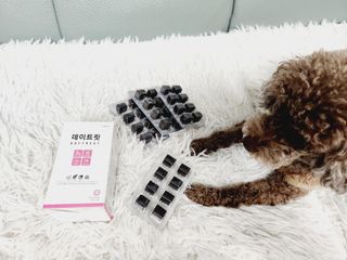 달콤오기님이 올린 리뷰 사진 1