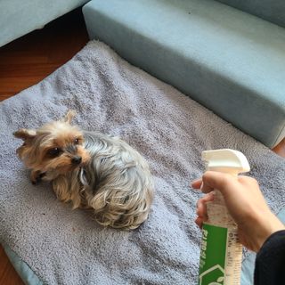 젤리젤리님이 올린 리뷰 사진 2