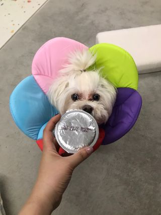 윤퍼플님이 올린 리뷰 사진 2