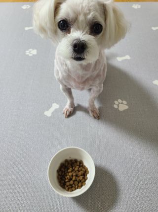 쮸디님이 올린 리뷰 사진 1