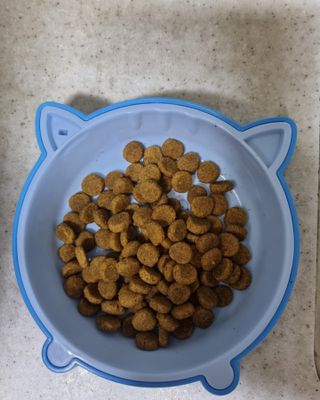 리안맘님이 올린 리뷰 사진 3
