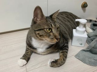 보리님이 올린 리뷰 사진 4