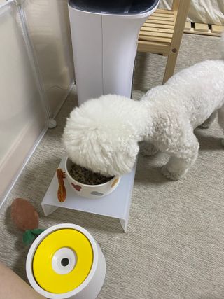 불루라인님이 올린 리뷰 사진 3