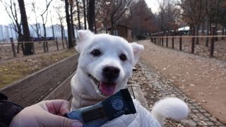 미니몽님이 올린 리뷰 사진 2
