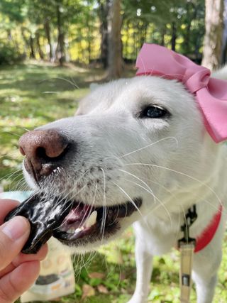 Jenny님이 올린 리뷰 사진 4
