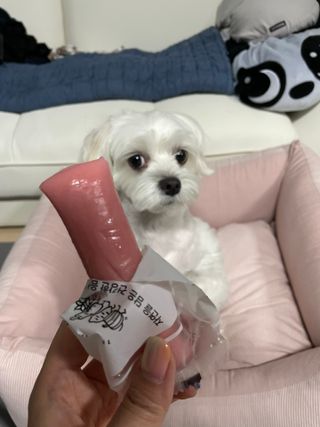 푸디푸디 1일1떡  가래떡 낱개포장 아침식사 식사대용 7종 세트 혼합 (14개입) — 5점을 준 리뷰어가 2022년 5월 올린 사용 사진