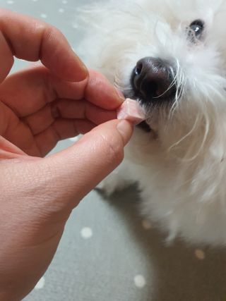 hyun♡님이 올린 리뷰 사진 4