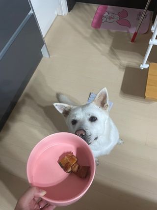 나래님이 올린 리뷰 사진 2