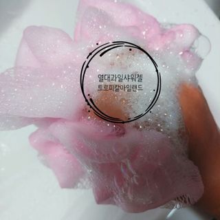 8년째캠핑중님이 올린 리뷰 사진 1