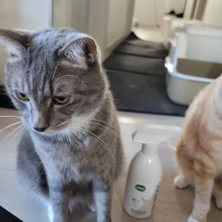 이째님이 올린 리뷰 사진 1