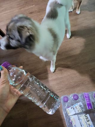 몽베스트 [MONTBEST]위드어스 500mL 20병 — 5점을 준 리뷰어가 2022년 8월 올린 사용 사진