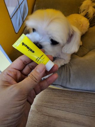 푸카푸카님이 올린 리뷰 사진 1