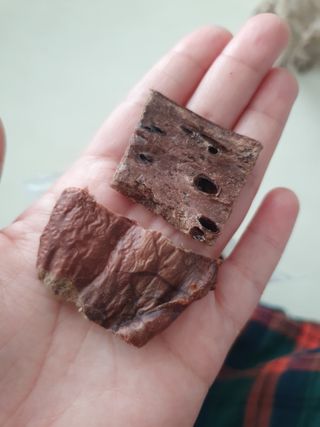 아코맘님이 올린 리뷰 사진 3