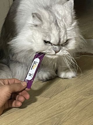 럽S하3님이 올린 리뷰 사진 2