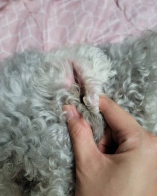 lemoniee님이 올린 리뷰 사진 4