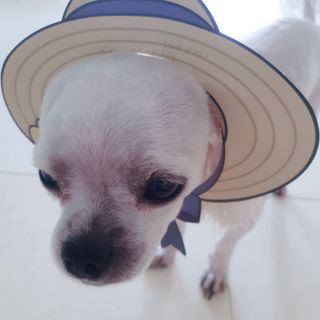 미진냥님이 올린 리뷰 사진 3