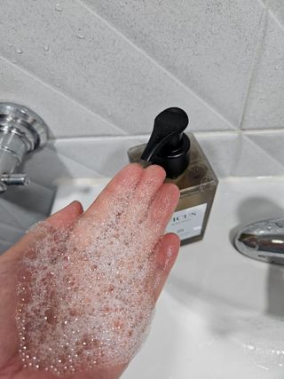 테이크어샤워 [스마트스토어+무배] 피쿠스 바디워시 FICUS BODY WASH 250ML — 5점을 준 리뷰어가 2025년 10월 올린 사용 사진