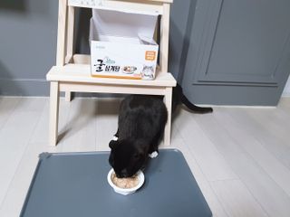 찌니맘님이 올린 리뷰 사진 2