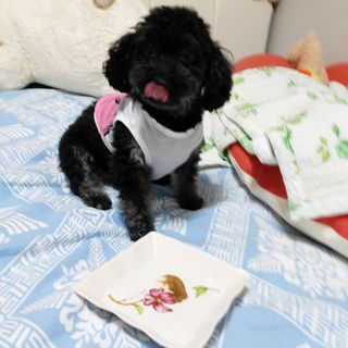 쓔리님이 올린 리뷰 사진 2