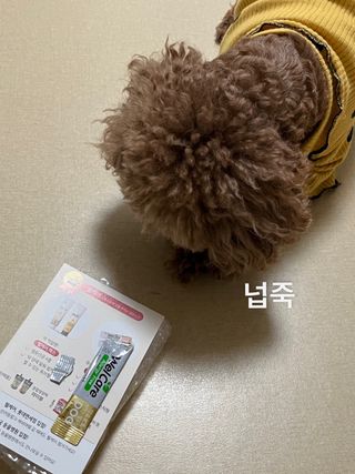 1ovemi◡̈님이 올린 리뷰 사진 1